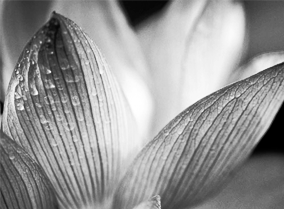 短信验证码轰炸卡盟免费